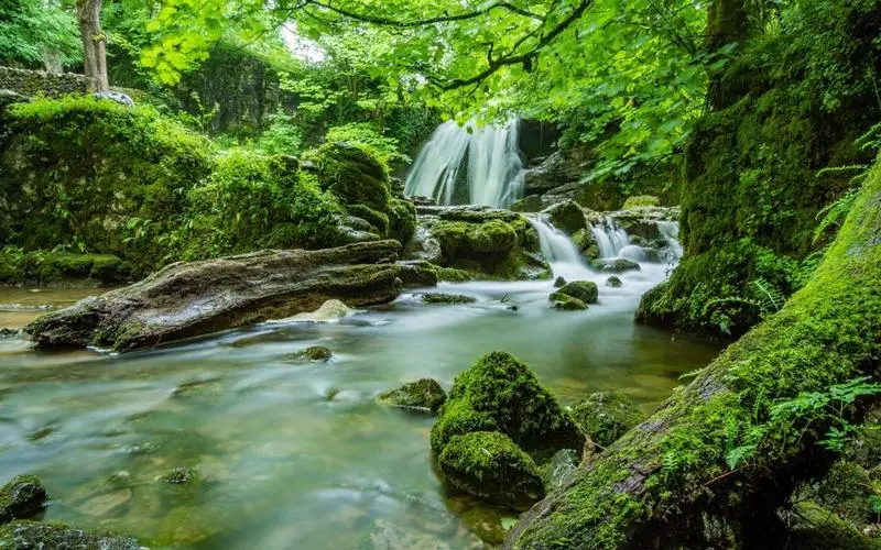 高性能智能